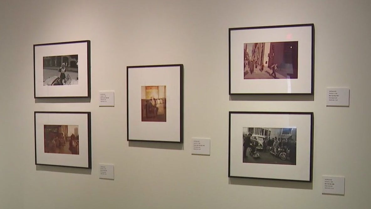 Bay Area museum unveils ‘redhead’ exhibit